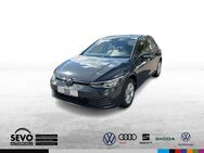 VW Golf, 1.0 TSI Life, Jahr 2020 - Vaihingen (Enz)