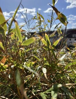 Charmante 2 Zimmer-Eigentumswohnung mit großem Balkon in zentraler Lage von Kulmbach - Kulmbach