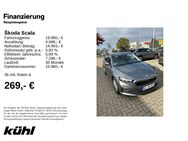 Skoda Scala, 1.0 TSI Essence, Jahr 2024 - Gifhorn