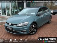 VW Golf, 1.5 TSI VII IQ DRIVE OPF APP, Jahr 2019 - Versmold