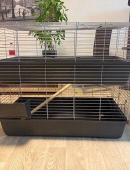 Kleintier Käfig | Nager | Meerschweinchen | Hamster | Hase | Maus | Ratte - Rotenburg (Wümme)