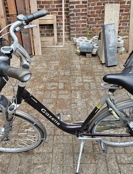 Gazelle Furore - Krefeld