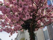 Sommerzeit mit dir? - Berlin Tempelhof-Schöneberg