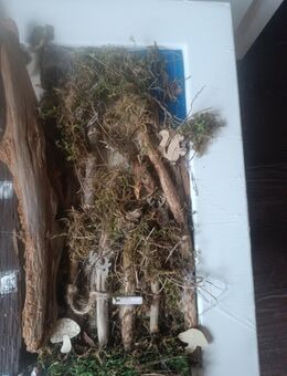 Altholz Bild ca 65x50 - Neuhausen (Erzgebirge)