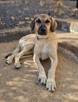 Karma - wer sieht mich? - Mettmann