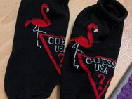 Socken (getragen) Guess - Neuruppin