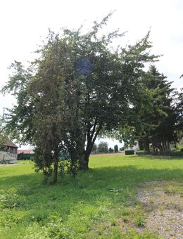 FÜR DIE KLEINE FAMILIE, ETWAS RUHIGES - Wallersdorf