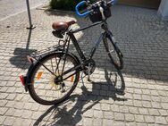 Fahrrad Sursee 28" in Top-Zustand - Bad Berneck (Fichtelgebirge) Zentrum