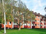 Moderne Wohnung sucht netten Mieter - Minden (Nordrhein-Westfalen)
