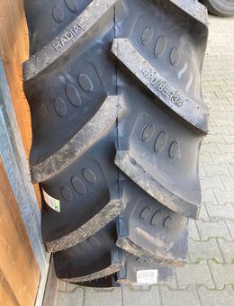 Reifen BKT 16.9 R 30 / 420 85 R 30 oder 16.9 R 34 / 420 / 85 R 34 - Schwindegg