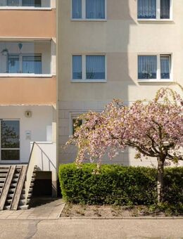 3 Raumwohnung mit Balkon - Halle (Saale)