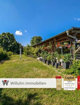 Ein- oder Mehrfamilienwohnen, Gewerbe, Vermietung - alles möglich! Gartenidylle, Kamin, Wintergarten - Zschepplin