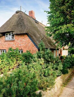 Ein Ferienhaus unter Reet - zeitlose Schönheit, modern interpretiert. - Wrixum