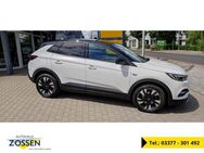 Opel Grandland Elegance Diesel DAB NAVI KAMERA LED Allwetter - Zossen