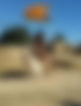 Ysa*** - Ludwigshafen (Rhein)