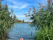 M sucht W für Ausflüge zum See und Meer ☀️ - Augsburg