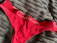 Getragener roter Calvin Klein Tanga - Regensburg