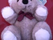 Teddy Bär, Koala, neu, 20 cm, Benny Toys, - Eschwege Zentrum