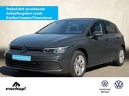 VW Golf, 1.0 VIII eTSI Life, Jahr 2023 - Weingarten (Baden)