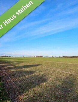 Familienleben auf einer Ebene im kommenden Baugebiet in Stederdorf. - Peine