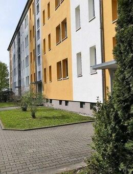 JETZT FREI! Kleine 2-Zimmer-Traumwohnung mit Pfiff! - Chemnitz