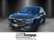 Ford Kuga, Ford Kuga ST-Line FHEV Duratec Automatik, Jahr 2022 - Frankenthal (Pfalz)