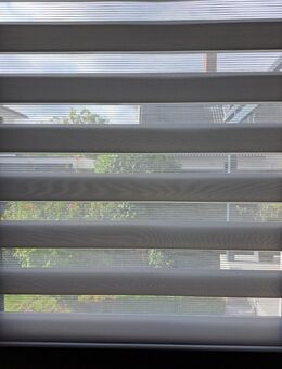 Doppelrollo in leicht grau - Langenfeld (Rheinland)