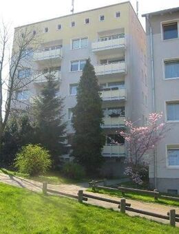 Renovierte 2-Zimmer Wohnung sucht neuen Mieter! - Essen