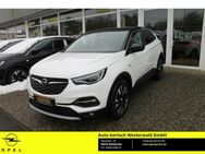 Opel Grandland, 1.2 Turbo EU6d 120 Jahre Winterp, Jahr 2020 - Niederahr