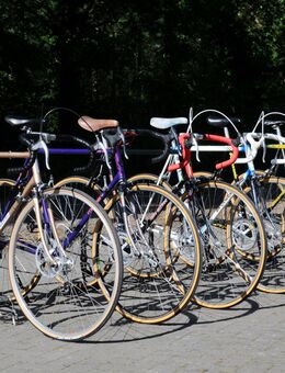 Vintage Rennräder aus den 80er Jahren / Rahmenhöhe 60 - 63 cm / aufbereitete Stahlrennräder / Koga Miyata / Panasonic ... - Varel