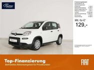 Fiat Panda, 1.0 GSE Hybrid, Jahr 2024 - Pilsach