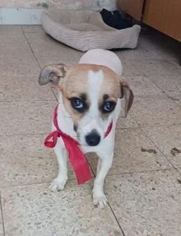 Birba und Sally - Tochter und Mami - Wedel