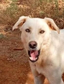 Zoe Fee-bildschöne,sportliche Genießerin - Mettmann