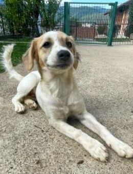 Nastya möchte noch vieles lernen - Schwabach