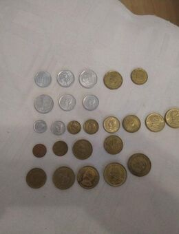 Sammlung argentinischer Münzen - Frankfurt (Main)