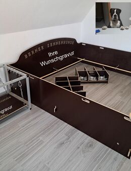 Welpenkiste Wurfkiste in große 2.0 x 2.0 x 0.50 cm - Espelkamp