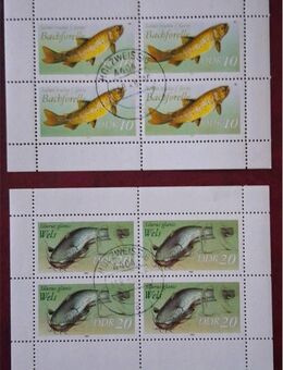 DDR 1987 Kleinbogen Satz Fische gestempelt - Görlitz