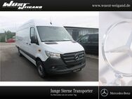 Mercedes Sprinter, 317 Kasten XXL extralan, Jahr 2023 - Weißenburg (Bayern)