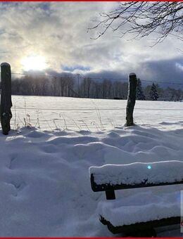 Stilvolles Wohnen auf dem Land - modern, ruhig, außergewöhnlich - Vöhl