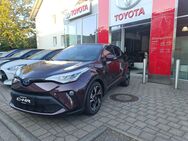 Toyota C-HR, Hybrid Team Deutschland, Jahr 2023 - Lauchringen