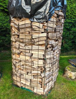 Brennholz Esche trocken - Rehna