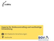 Experte für Risikocontrolling und nachhaltige Entwicklung - Karlsruhe