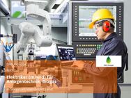 Elektriker (m/w/d) für Anlagentechnik, Biogas - Seegebiet Mansfelder Land