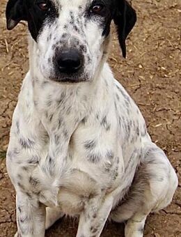 ALICIA - sportlich, sozial, mag Kinder - Weilheim (Oberbayern)