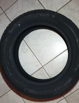 Allwetterreifen 215/55 R17 98V Neu Westlake DOT 15/24 All Season Elite Z-401 ... 1 Stück - Taucha