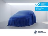 VW Golf, 2.0 TDI Life, Jahr 2024 - Offenburg