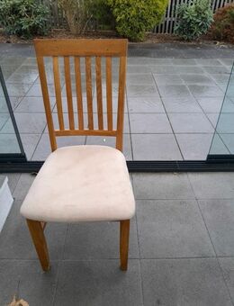 2 Stühle für den Garten mit bezug - Dortmund