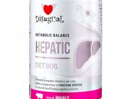 Sparpaket Disugual Metabolic Balance Hepatic Dog 24 x 400 g - Schwein