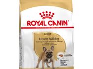 Sparpaket Royal Canin - French Bulldog Adult (2 x 9 kg )