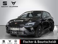 CUPRA Leon, 2.0 TDI TDI, Jahr 2024 - Lohmar